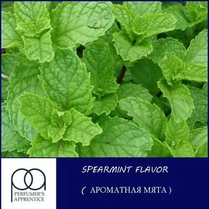Ароматизатор TPA Spearmint (Ароматна м'ята)