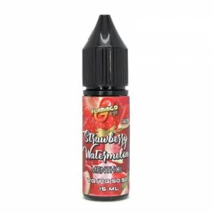 Flamingo Salt Strawberry Watermelon Menthol